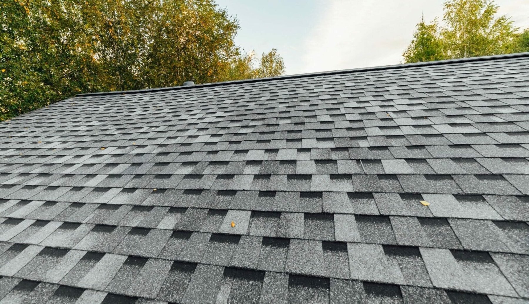 Class 4 impact-resistant dimensional shingles Knoxville
