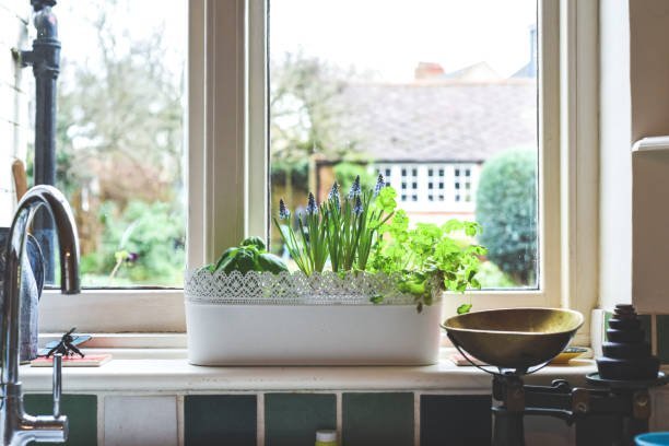Garden window with herbs on the sill in a Knoxville kitchen
