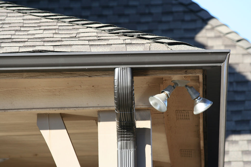 How To Easy Download TikTok Video