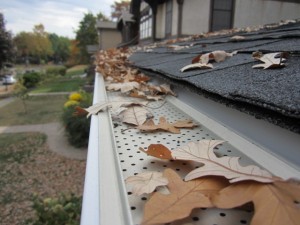 Knoxville Gutter Protection / Leaf Relief 9
